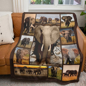 Personalized Gifts For Elephant Lover Blanket 011qhti311224-Homacus